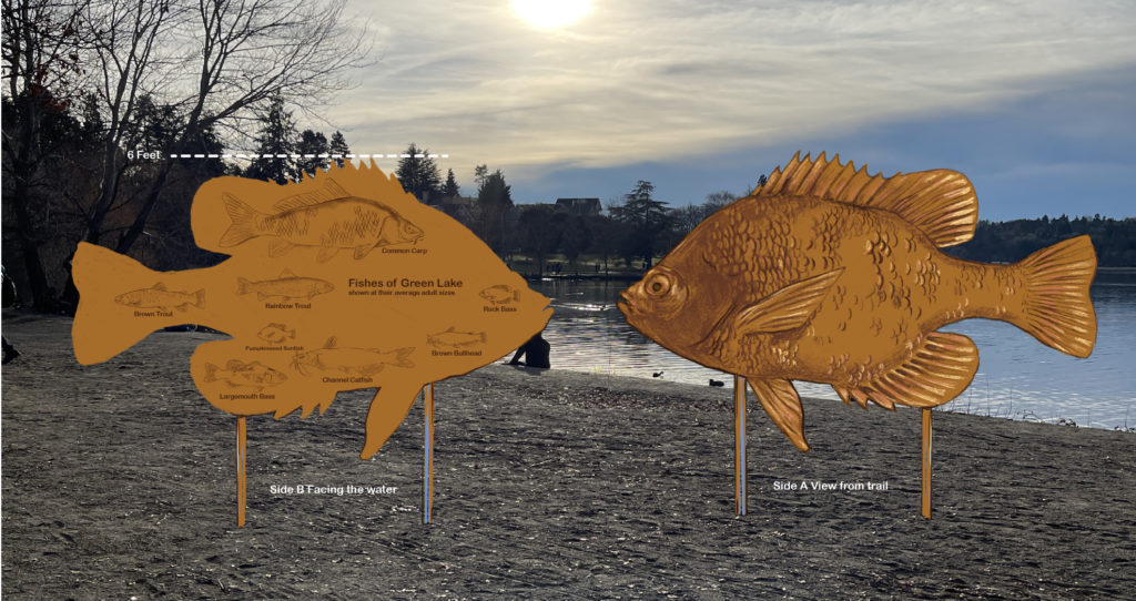 Public Art for Green Lake. A large bronze sculpture of a fish with a low relief image of a sunfish on one side and  many other fishes at their average adult size on the other side of the sculpture. 